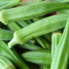 Premium Okra Perkins Long Pod Seeds 30 Ct Vegetable NON-GMO HEIRLOOM USA