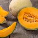 New Arrival Top Mark Cantaloupe Seeds 50+ Cucumis Melo Fruit Melon USA NON-GMO