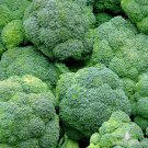 Premium Broccoli Seeds 600+ Waltham 29 Vegetable NON-GMO USA SELLER