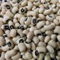 Top-Quality California Blackeye Cowpea Seeds 50 Ct Legume Bush Vegetable Garden Heirloom