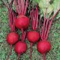 Limited Edition Ruby Queen Beet Seeds 200 Ct Vegetable Garden NON-GMO USA SELLER