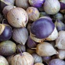Top-Quality Purple Tomatillo Seeds 50 Ct Vegetable Salsa HEIRLOOM NON-GMO USA