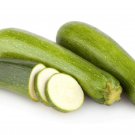 New Arrival Dark Green Zucchini Squash Seeds 20 Ct Vegetable NON-GMO US SELLER