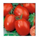 Top-Quality Rio Grande Tomato Seeds 100 Ct Vegetable Garden HEIRLOOM NON-GMO