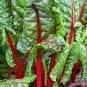 Best-Selling Ruby Red Swiss Chard Seeds 50 Ct Vegetable Garden Heirloom NON-GMO