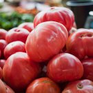 New Arrival Pink Oxheart Tomato Seeds 50 Ct Vegetable Garden HEIRLOOM NON-GMO