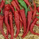 New Arrival Cayenne Pepper Seed - Long Bearing Hot Chili Peppers Seeds
