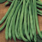 New Arrival Blue Lake 274 Bean Seed - Heirloom Greenpod Garden Bush Beans Seeds