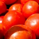 Premium Red Beefsteak Tomato Seed - Slicing Tomatoes Vegetable Seeds