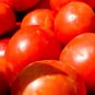 Premium Red Beefsteak Tomato Seed - Slicing Tomatoes Vegetable Seeds