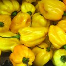 Premium Lemon Habanero Pepper Seed - Heirloom Hot Chili Peppers Seeds
