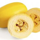 Exclusive Spaghetti Squash Seed - Heirloom Winter Vegetable Garden Seeds