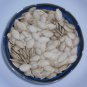 Exclusive Spaghetti Squash Seed - Heirloom Winter Vegetable Garden Seeds