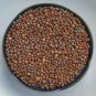Premium Early Scarlet Globe Radish Seed - Spring Radishes Garden Vegetable