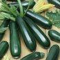 New Arrival Dark Green Zucchini Summer Squash Seed - Garden Vegetable Seeds