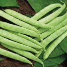 Best-Selling Roma II Bean Seed - Greenpod Bush Garden Vegetable Beans Seeds