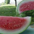 Best-Selling Congo Watermelon Seed - Red Flesh Heirloom Garden Melon Seeds