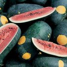 Limited Edition Cherokee Moon & Stars Red Watermelon Seed - Heirloom Garden Seeds