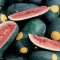 Limited Edition Cherokee Moon & Stars Red Watermelon Seed - Heirloom Garden Seeds