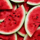Best-Selling Black Diamond Watermelon Seed - Red Flesh Heirloom Melon Seeds