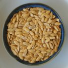 Best-Selling Banana Cantaloupe Melon Seed - Exotic Heirloom Sweet Melons Seeds