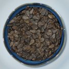 Best-Selling Allsweet Watermelon Seed - Red Flesh Heirloom Garden Melon Seeds