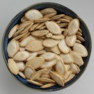 Premium Green Striped Cushaw Seed - Heirloom Winter Squash Pumpkin Seeds
