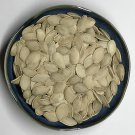 Best-Selling Yellow Crookneck Squash Seed - Early Summer Squash Garden Seeds