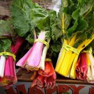 New Arrival Chard Swiss Rainbow Heirloom Garden Seeds - B166