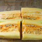 Exclusive Vegetable Spaghetti Winter Squash Seeds bin275