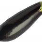 Limited Edition Long Purple Eggplant Heirloom Seeds - B36