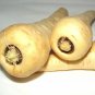 Premium Parsnip Hollow Crown Seeds bin304C