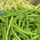 Top-Quality Heirloom Blue Lake Bush Bean Seeds - Phaseolus vulgaris - C3