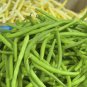 Top-Quality Heirloom Blue Lake Bush Bean Seeds - Phaseolus vulgaris - C3