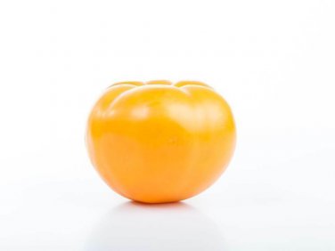Premium Heirloom Tomato Brandywine Yellow Seeds - Solanum lycopersicum - B222