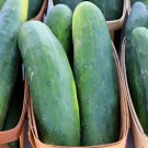 New Arrival Straight Eight Cucumber Seeds B32