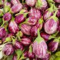 New Arrival Eggplant Rosa Bianica Heirloom Seeds - B132
