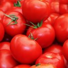 Premium Floradade Tomato Heirloom Garden Seeds - B204