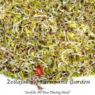 New Arrival Spicy Microgreens Seed Mix - Mung Bean, Radish, Mustard, Chinese Cabbage - B333