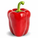 Top-Quality Heirloom Big Red Sweet Bell Pepper Seeds - Capsicum annuum - B352