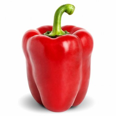 Top-Quality Heirloom Big Red Sweet Bell Pepper Seeds - Capsicum annuum - B352