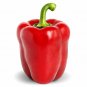 Top-Quality Heirloom Big Red Sweet Bell Pepper Seeds - Capsicum annuum - B352