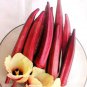 Best-Selling Okra Red Burgundy Heirloom Seeds - B264
