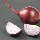 Premium Onion Red Burgundy Heirloom Seeds - B179
