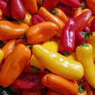 Premium Santa Fe Grande Pepper Heirloom Seeds - B139