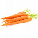 Top-Quality Carrot Imperator Heirloom Vegetable Seeds - B81