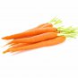 Top-Quality Carrot Imperator Heirloom Vegetable Seeds - B81