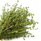 Top-Quality Common German Winter Thyme Herb Seeds - Thymus vulgaris - B195
