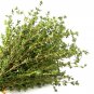 Top-Quality Common German Winter Thyme Herb Seeds - Thymus vulgaris - B195