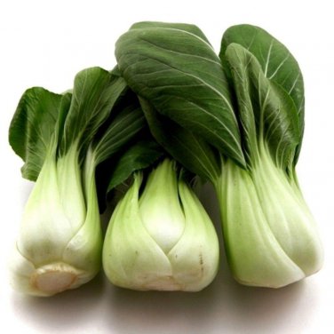 Top-Quality Pak Choy Canton Chinese Cabbage Heirloom Seeds - B55